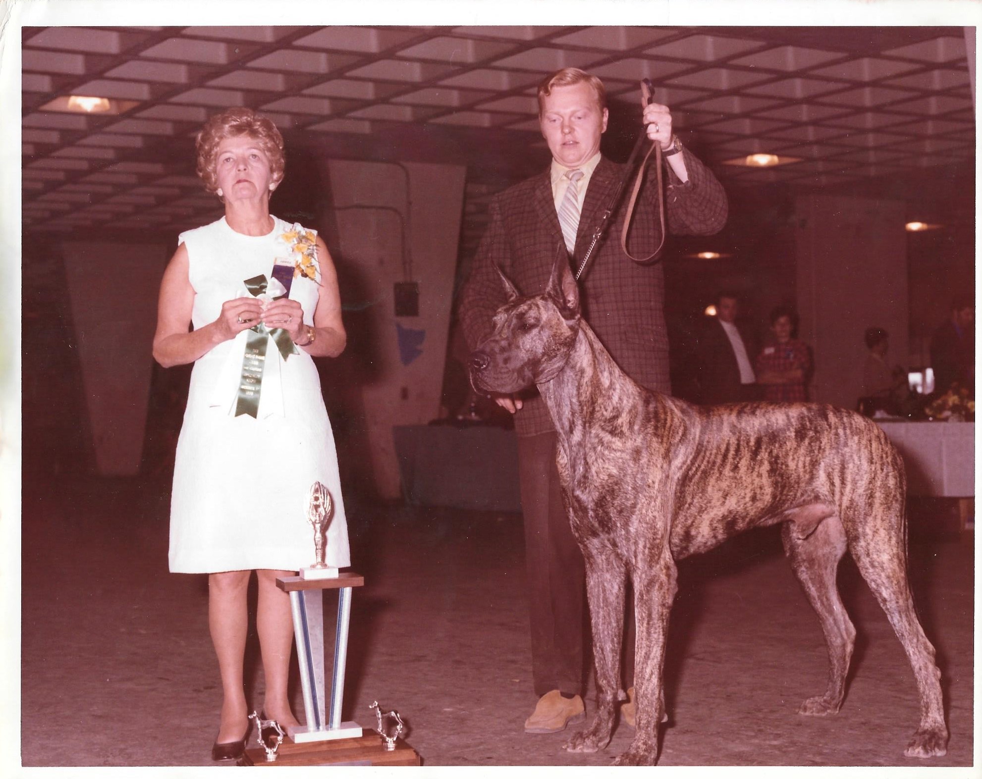 Can Ch County Danes Follys Chief